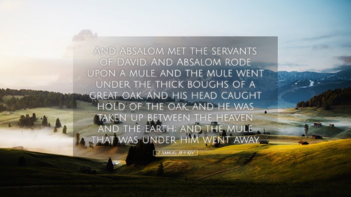 Picture 05 - 2 Samuel 18:9 KJV Desktop Wallpaper - And Absalom met the servants of David. And - Desktop Bible Verse Wallpaper