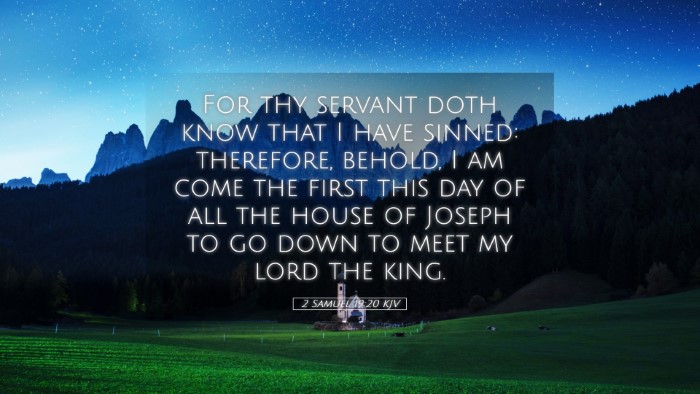 Picture 05 - 2 Samuel 19:20 KJV Desktop Wallpaper - For thy servant doth know that I have sinned: - Desktop Bible Verse Wallpaper