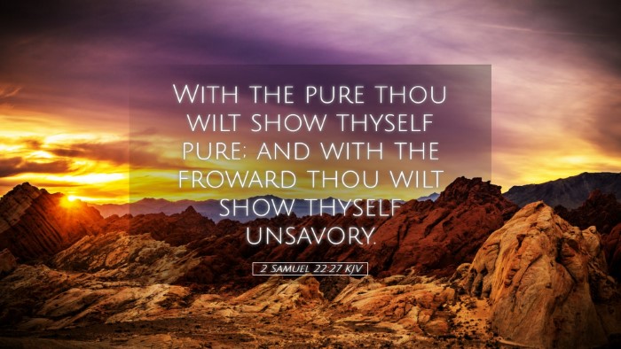 Picture 05 - 2 Samuel 22:27 KJV Desktop Wallpaper - With the pure thou wilt show thyself pure; and - Desktop Bible Verse Wallpaper