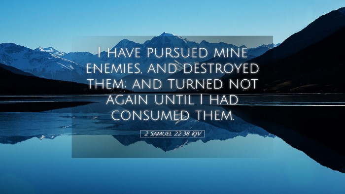 Picture 05 - 2 Samuel 22:38 KJV Desktop Wallpaper - I have pursued mine enemies, and destroyed them; - Desktop Bible Verse Wallpaper