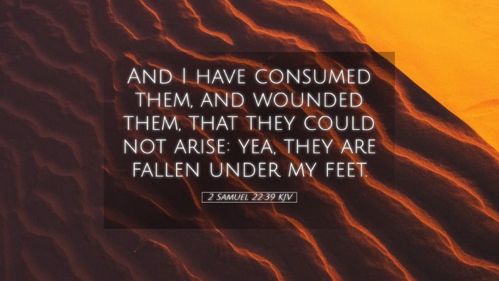 Picture 05 - 2 Samuel 22:39 KJV Desktop Wallpaper - And I have consumed them, and wounded them, that - Desktop Bible Verse Wallpaper