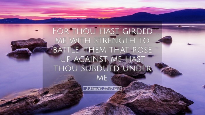 Picture 05 - 2 Samuel 22:40 KJV Desktop Wallpaper - For thou hast girded me with strength to battle: - Desktop Bible Verse Wallpaper