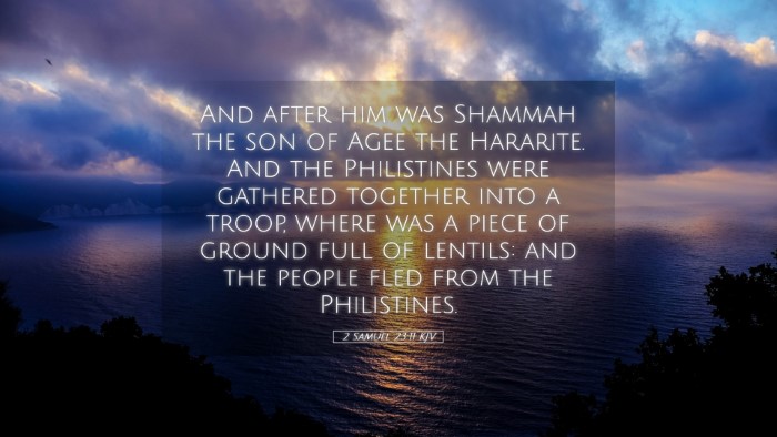 Picture 05 - 2 Samuel 23:11 KJV Desktop Wallpaper - And after him was Shammah the son of Agee the - Desktop Bible Verse Wallpaper