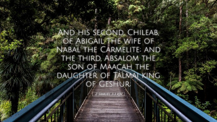 Picture 05 - 2 Samuel 3:3 KJV Desktop Wallpaper - And his second, Chileab, of Abigail the wife of - Desktop Bible Verse Wallpaper