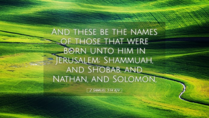Picture 05 - 2 Samuel 5:14 KJV Desktop Wallpaper - And these be the names of those that were born - Desktop Bible Verse Wallpaper