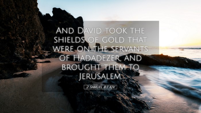 Picture 05 - 2 Samuel 8:7 KJV Desktop Wallpaper - And David took the shields of gold that were on - Desktop Bible Verse Wallpaper