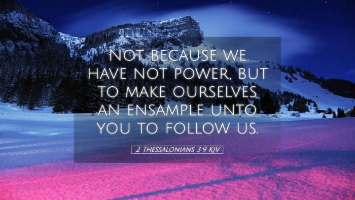 Picture 05 - 2 Thessalonians 3:9 KJV Desktop Wallpaper - Not because we have not power, but to make - Desktop Bible Verse Wallpaper