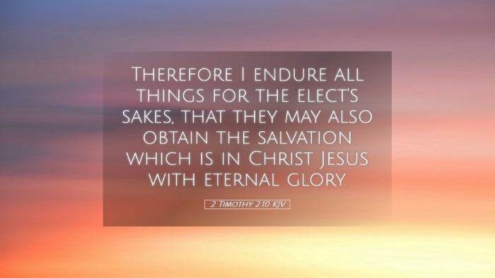 Picture 05 - 2 Timothy 2:10 KJV Desktop Wallpaper - Therefore I endure all things for the elect's - Desktop Bible Verse Wallpaper