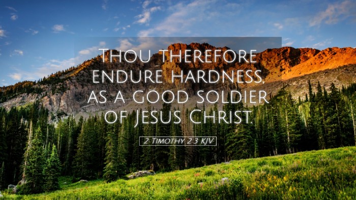Picture 05 - 2 Timothy 2:3 KJV Desktop Wallpaper - Thou therefore endure hardness, as a good soldier - Desktop Bible Verse Wallpaper