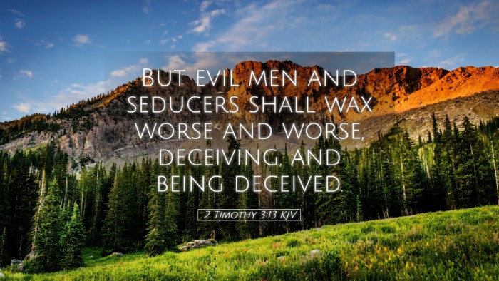 Picture 05 - 2 Timothy 3:13 KJV Desktop Wallpaper - But evil men and seducers shall wax worse and - Desktop Bible Verse Wallpaper