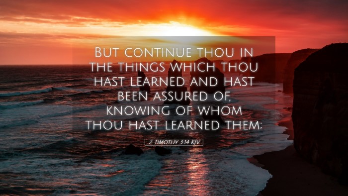 Picture 05 - 2 Timothy 3:14 KJV Desktop Wallpaper - But continue thou in the things which thou hast - Desktop Bible Verse Wallpaper