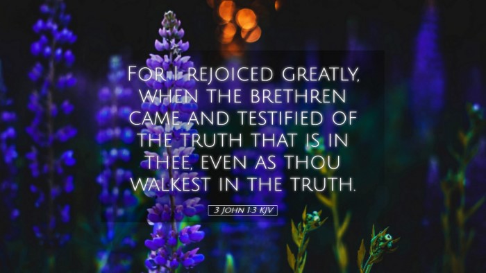 Picture 05 - 3 John 1:3 KJV Desktop Wallpaper - For I rejoiced greatly, when the brethren came - Desktop Bible Verse Wallpaper