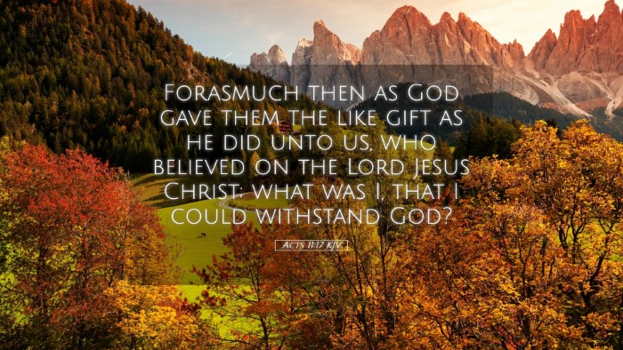 Picture 05 - Acts 11:17 KJV Desktop Wallpaper - Forasmuch then as God gave them the like gift as - Desktop Bible Verse Wallpaper