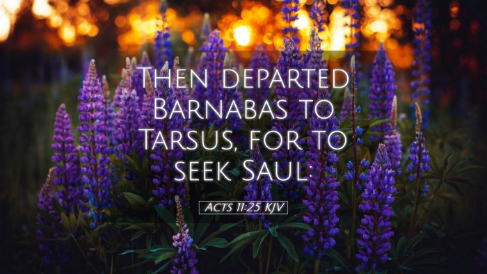 Picture 05 - Acts 11:25 KJV Desktop Wallpaper - Then departed Barnabas to Tarsus, for to seek - Desktop Bible Verse Wallpaper