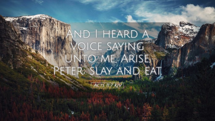 Picture 05 - Acts 11:7 KJV Desktop Wallpaper - And I heard a voice saying unto me, Arise, Peter; - Desktop Bible Verse Wallpaper
