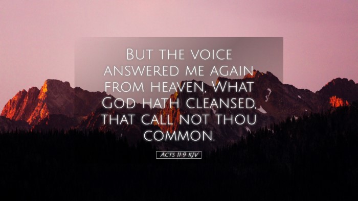 Picture 05 - Acts 11:9 KJV Desktop Wallpaper - But the voice answered me again from heaven, What - Desktop Bible Verse Wallpaper