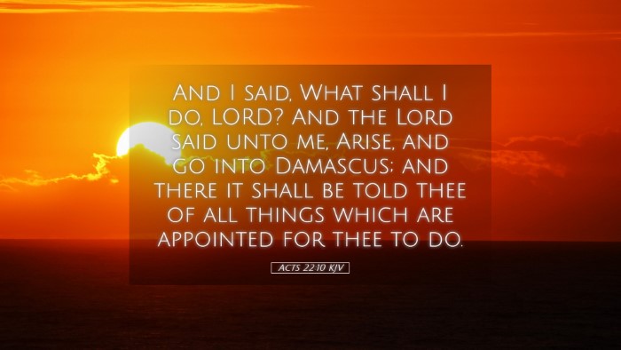 Picture 05 - Acts 22:10 KJV Desktop Wallpaper - And I said, What shall I do, LORD? And the Lord - Desktop Bible Verse Wallpaper