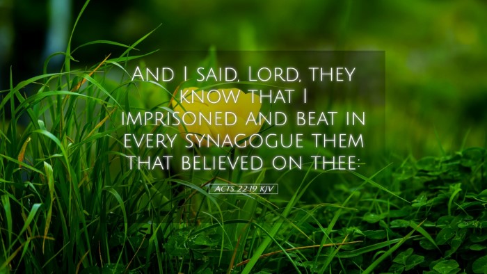 Picture 05 - Acts 22:19 KJV Desktop Wallpaper - And I said, Lord, they know that I imprisoned and - Desktop Bible Verse Wallpaper