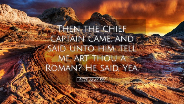 Picture 05 - Acts 22:27 KJV Desktop Wallpaper - Then the chief captain came, and said unto him, - Desktop Bible Verse Wallpaper
