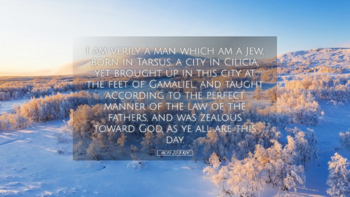 Picture 05 - Acts 22:3 KJV Desktop Wallpaper - I am verily a man which am a Jew, born in Tarsus, - Desktop Bible Verse Wallpaper