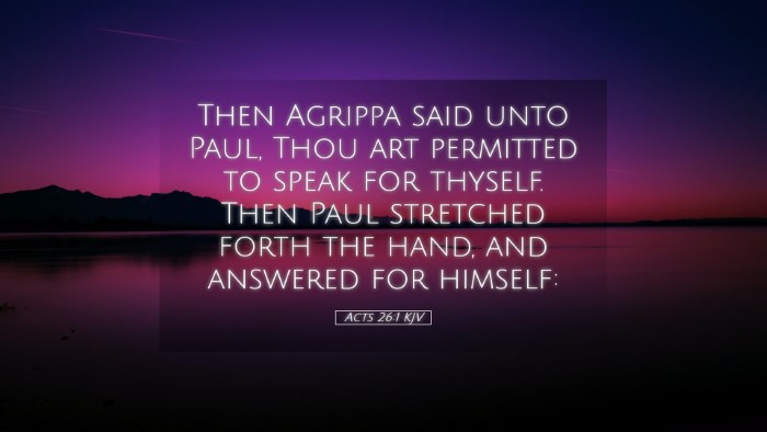 Picture 05 - Acts 26:1 KJV Desktop Wallpaper - Then Agrippa said unto Paul, Thou art permitted - Desktop Bible Verse Wallpaper
