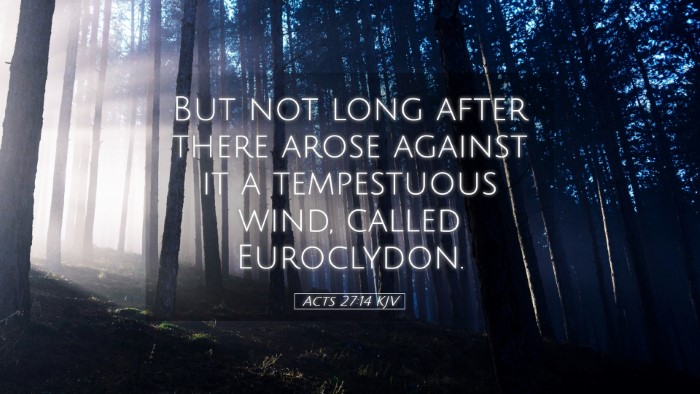 Picture 05 - Acts 27:14 KJV Desktop Wallpaper - But not long after there arose against it a - Desktop Bible Verse Wallpaper