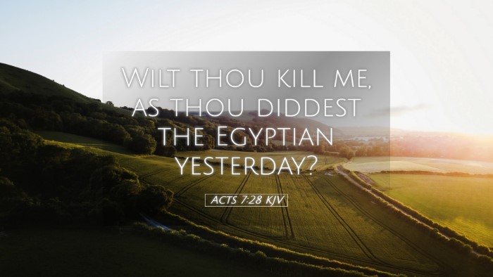 Picture 05 - Acts 7:28 KJV Desktop Wallpaper - Wilt thou kill me, as thou diddest the Egyptian - Desktop Bible Verse Wallpaper