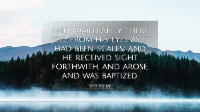 Picture 05 - Acts 9:18 KJV Desktop Wallpaper - And immediately there fell from his eyes as it - Desktop Bible Verse Wallpaper