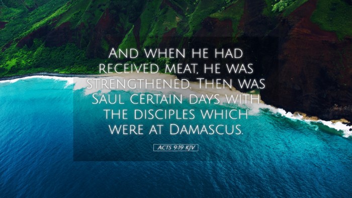 Picture 05 - Acts 9:19 KJV Desktop Wallpaper - And when he had received meat, he was - Desktop Bible Verse Wallpaper