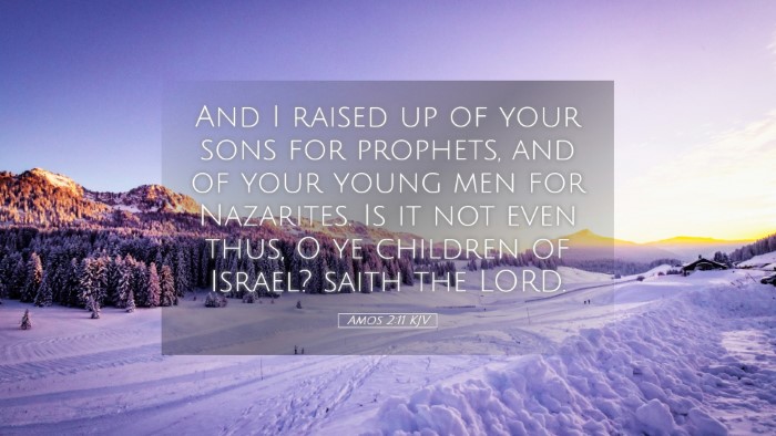 Picture 05 - Amos 2:11 KJV Desktop Wallpaper - And I raised up of your sons for prophets, and of - Desktop Bible Verse Wallpaper