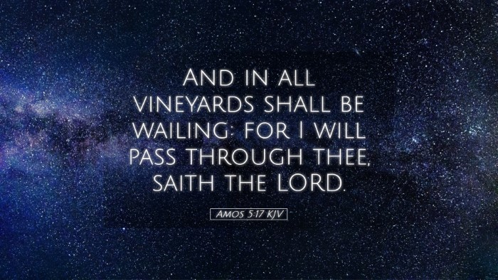 Picture 05 - Amos 5:17 KJV Desktop Wallpaper - And in all vineyards shall be wailing: for I will - Desktop Bible Verse Wallpaper