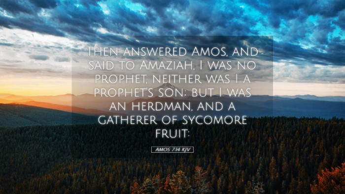 Picture 05 - Amos 7:14 KJV Desktop Wallpaper - Then answered Amos, and said to Amaziah, I was no - Desktop Bible Verse Wallpaper