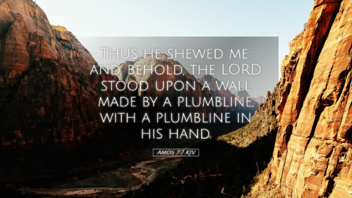 Picture 05 - Amos 7:7 KJV Desktop Wallpaper - Thus he shewed me: and, behold, the LORD stood - Desktop Bible Verse Wallpaper