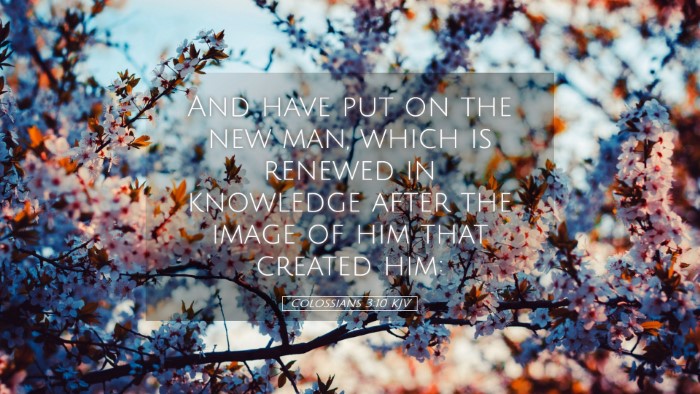 Picture 05 - Colossians 3:10 KJV Desktop Wallpaper - And have put on the new man, which is renewed in - Desktop Bible Verse Wallpaper