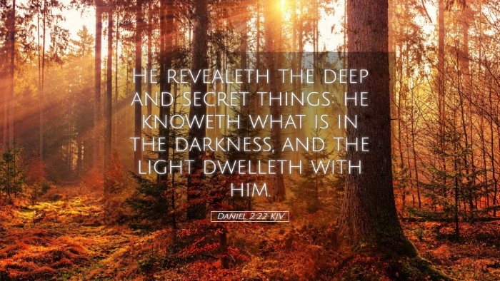 Picture 05 - Daniel 2:22 KJV Desktop Wallpaper - He revealeth the deep and secret things: he - Desktop Bible Verse Wallpaper