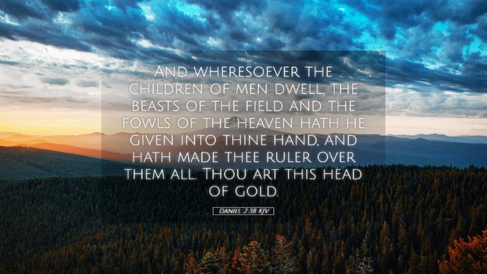 Picture 05 - Daniel 2:38 KJV Desktop Wallpaper - And wheresoever the children of men dwell, the - Desktop Bible Verse Wallpaper