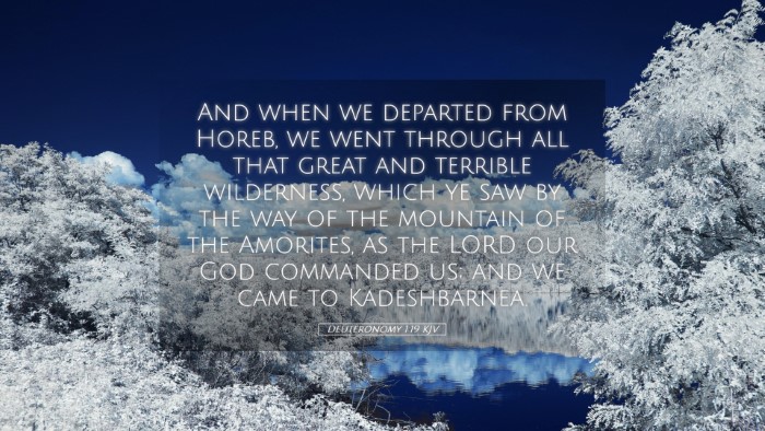 Picture 05 - Deuteronomy 1:19 KJV Desktop Wallpaper - And when we departed from Horeb, we went through - Desktop Bible Verse Wallpaper