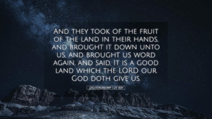 Picture 05 - Deuteronomy 1:25 KJV Desktop Wallpaper - And they took of the fruit of the land in their - Desktop Bible Verse Wallpaper