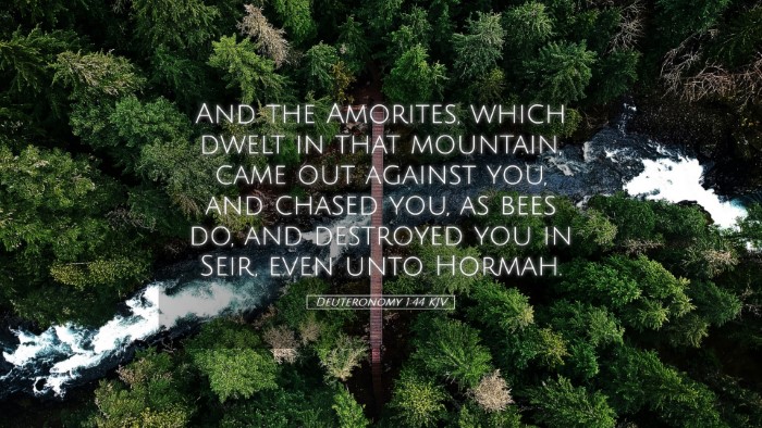 Picture 05 - Deuteronomy 1:44 KJV Desktop Wallpaper - And the Amorites, which dwelt in that mountain, - Desktop Bible Verse Wallpaper