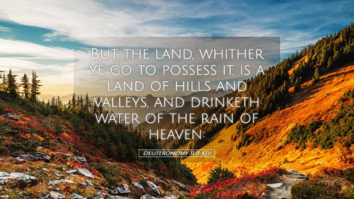 Picture 05 - Deuteronomy 11:11 KJV Desktop Wallpaper - But the land, whither ye go to possess it, is a - Desktop Bible Verse Wallpaper