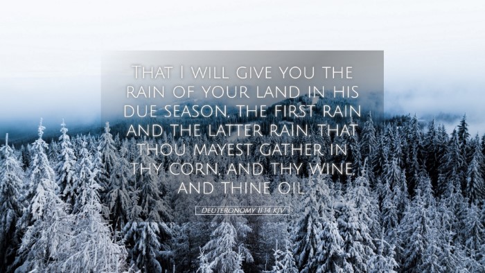 Picture 05 - Deuteronomy 11:14 KJV Desktop Wallpaper - That I will give you the rain of your land in his - Desktop Bible Verse Wallpaper