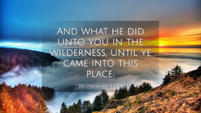 Picture 05 - Deuteronomy 11:5 KJV Desktop Wallpaper - And what he did unto you in the wilderness, until - Desktop Bible Verse Wallpaper