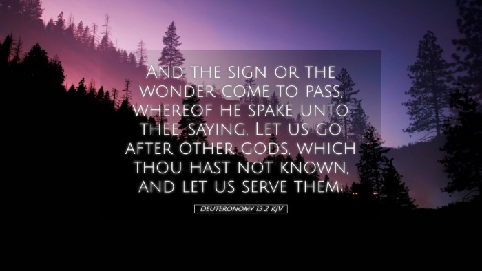 Picture 05 - Deuteronomy 13:2 KJV Desktop Wallpaper - And the sign or the wonder come to pass, whereof - Desktop Bible Verse Wallpaper