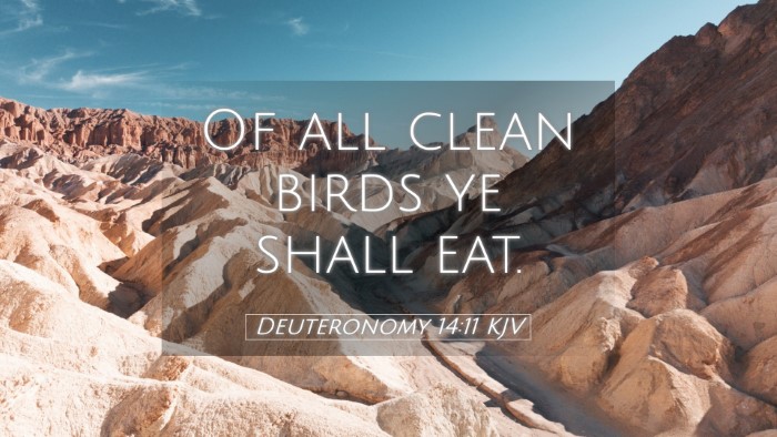 Picture 05 - Deuteronomy 14:11 KJV Desktop Wallpaper - Of all clean birds ye shall - Desktop Bible Verse Wallpaper