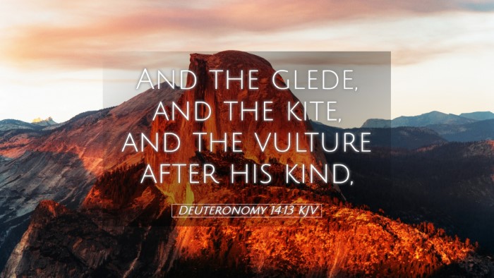 Picture 05 - Deuteronomy 14:13 KJV Desktop Wallpaper - And the glede, and the kite, and the vulture - Desktop Bible Verse Wallpaper
