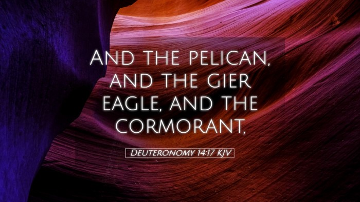 Picture 05 - Deuteronomy 14:17 KJV Desktop Wallpaper - And the pelican, and the gier eagle, and the - Desktop Bible Verse Wallpaper