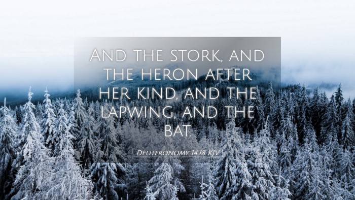 Picture 05 - Deuteronomy 14:18 KJV Desktop Wallpaper - And the stork, and the heron after her kind, and - Desktop Bible Verse Wallpaper