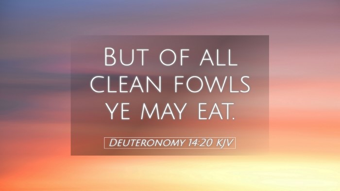 Picture 05 - Deuteronomy 14:20 KJV Desktop Wallpaper - But of all clean fowls ye may - Desktop Bible Verse Wallpaper