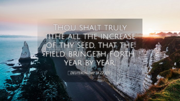 Picture 05 - Deuteronomy 14:22 KJV Desktop Wallpaper - Thou shalt truly tithe all the increase of thy - Desktop Bible Verse Wallpaper