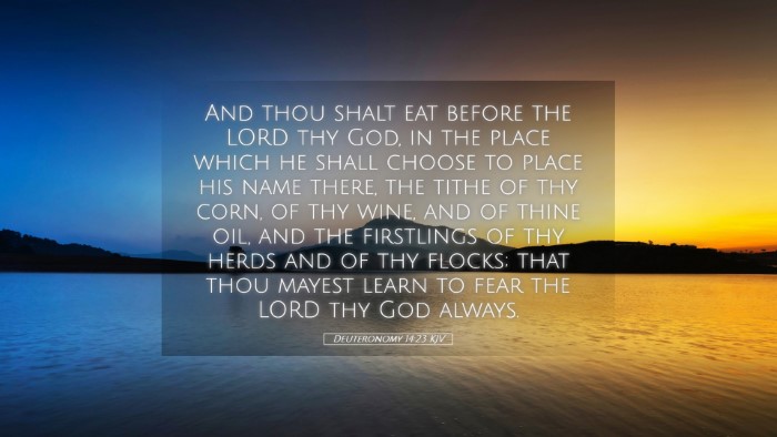 Picture 05 - Deuteronomy 14:23 KJV Desktop Wallpaper - And thou shalt eat before the LORD thy God, in - Desktop Bible Verse Wallpaper